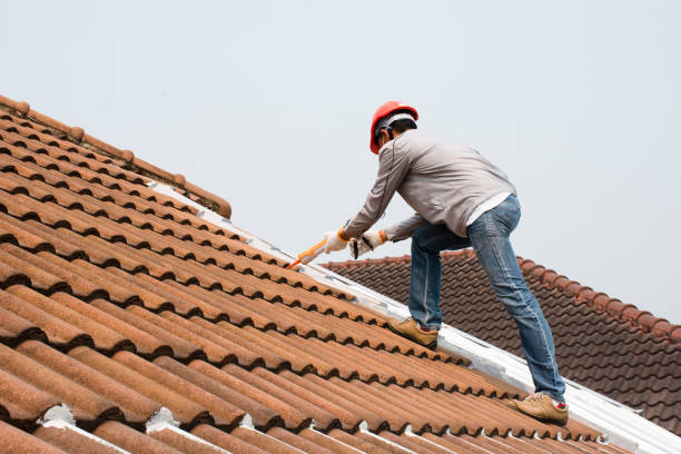 Roofing repair and installation